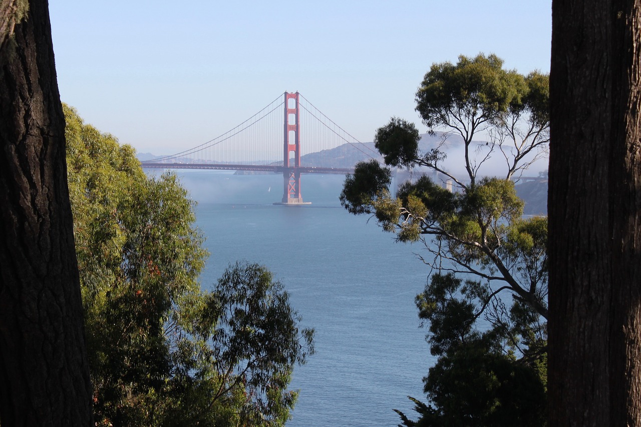 san francisco  california  bridge free photo