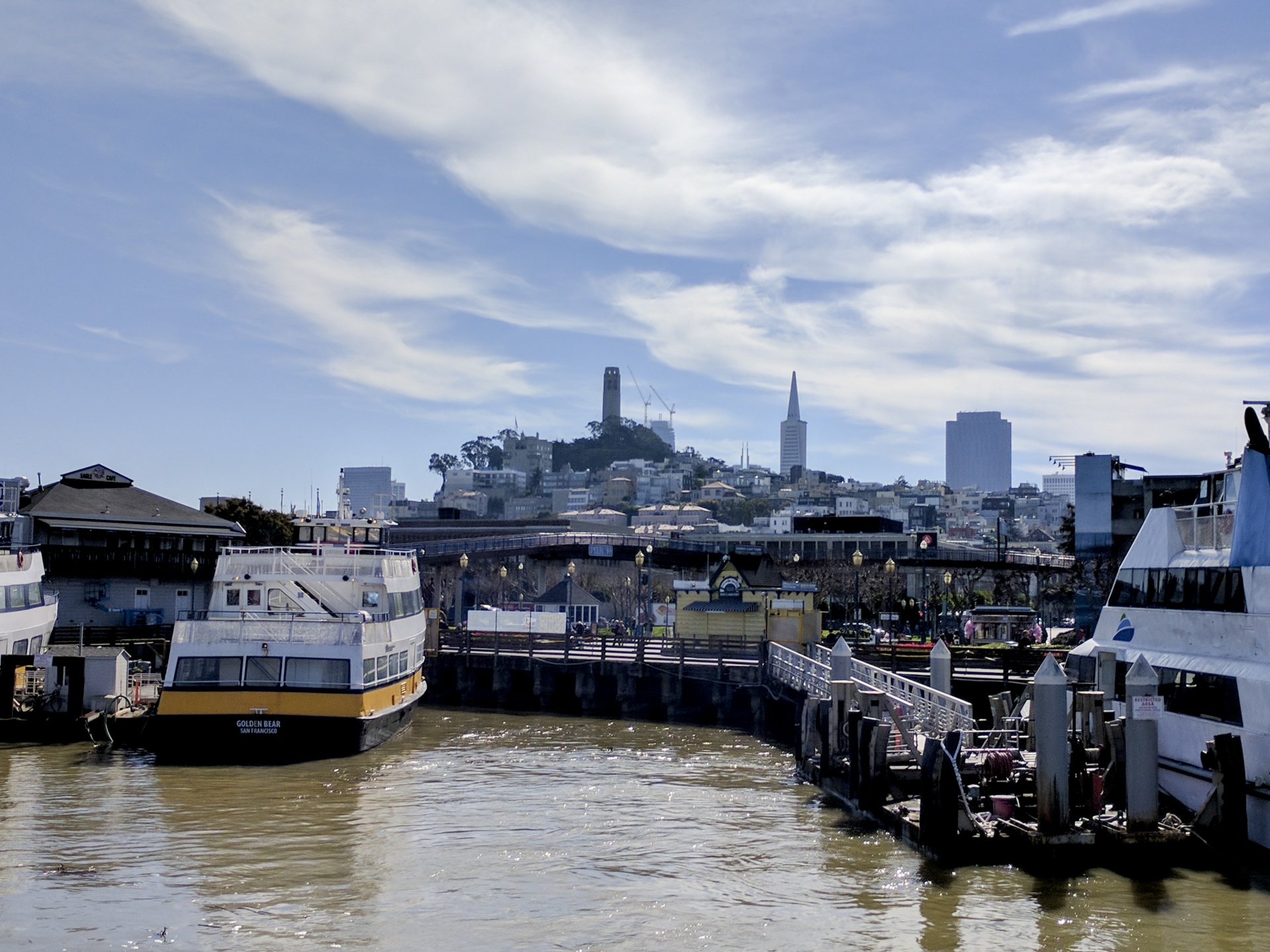 san francisco harbor harbour free photo