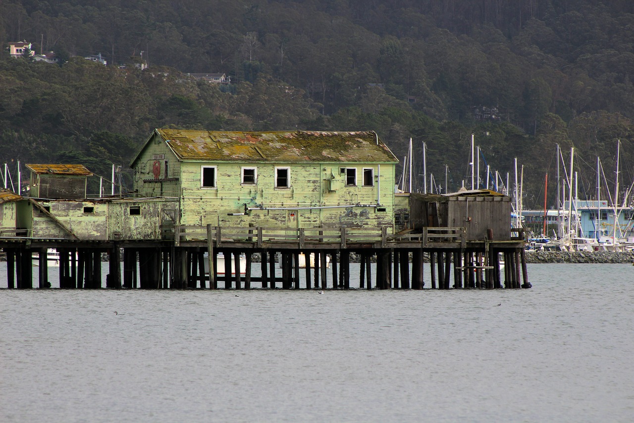 san fransisco water california free photo