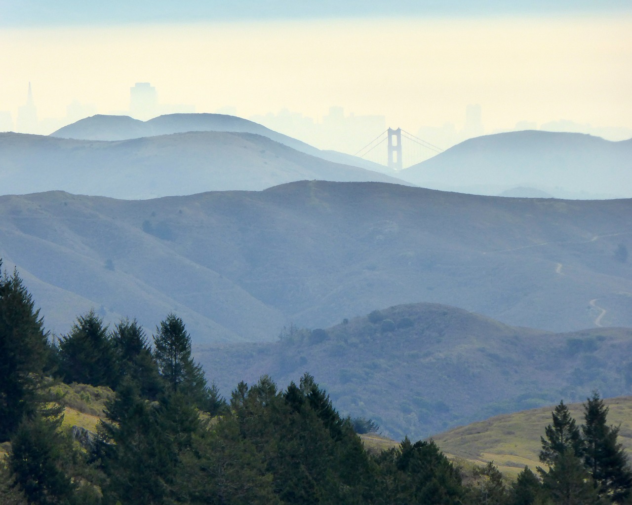 san fransisco marin county city free photo