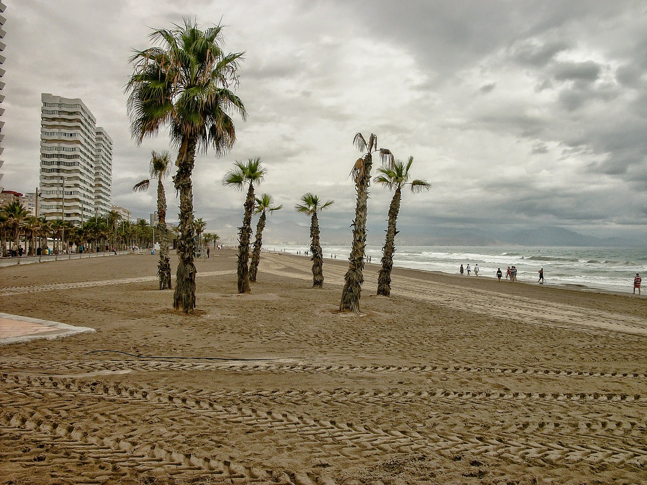 san juan beach alicante after orchards free photo