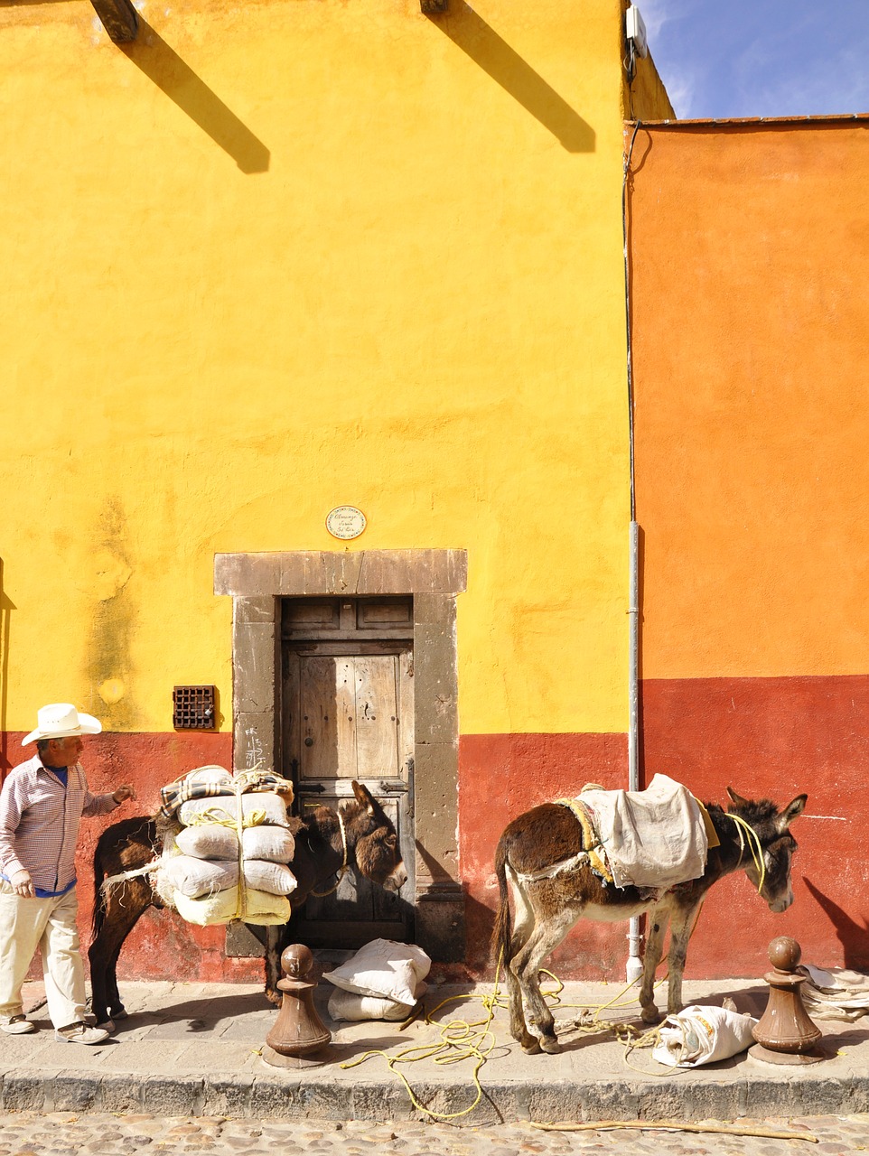 san miguel de allende  donkey  mexico free photo