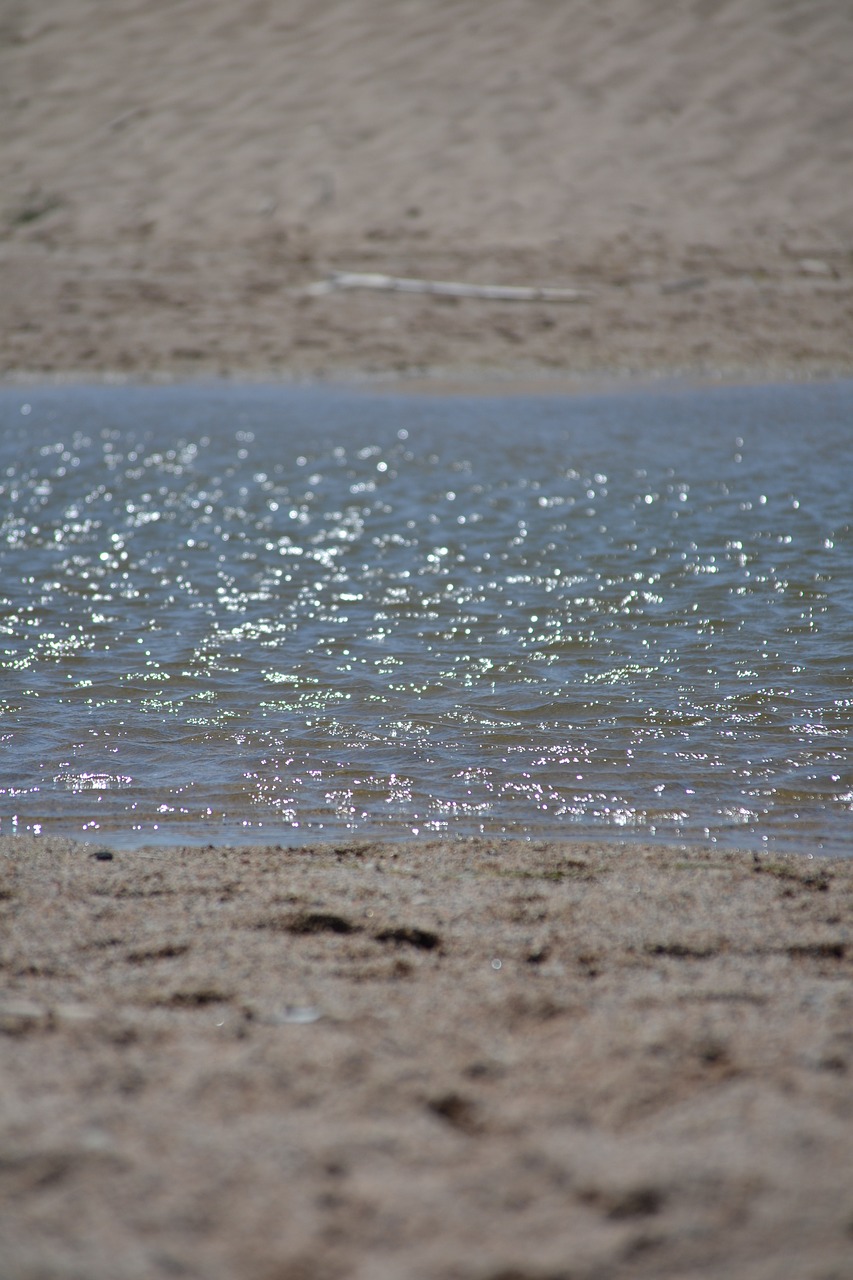 sand water beach free photo