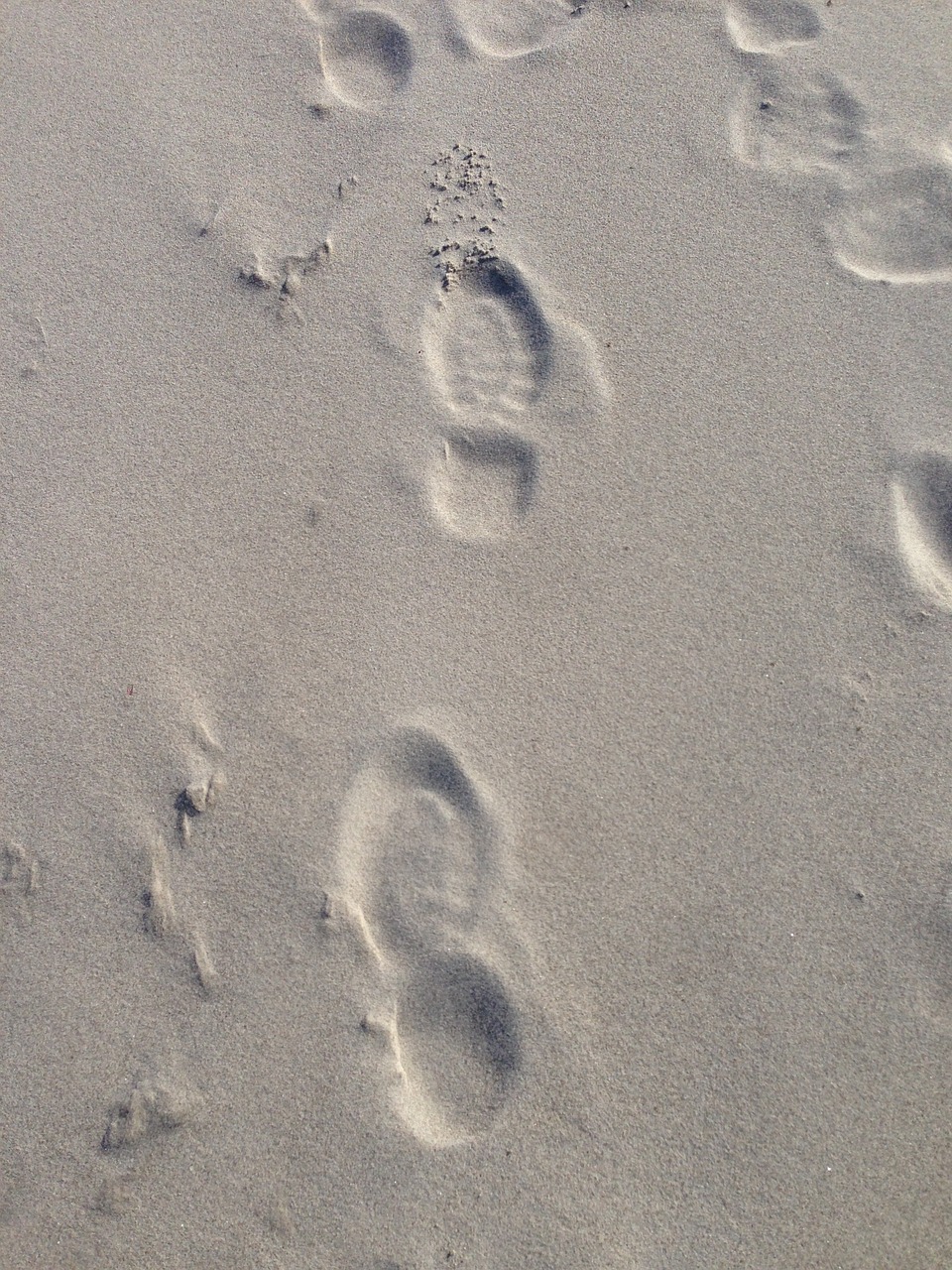 sand baltic sea traces free photo