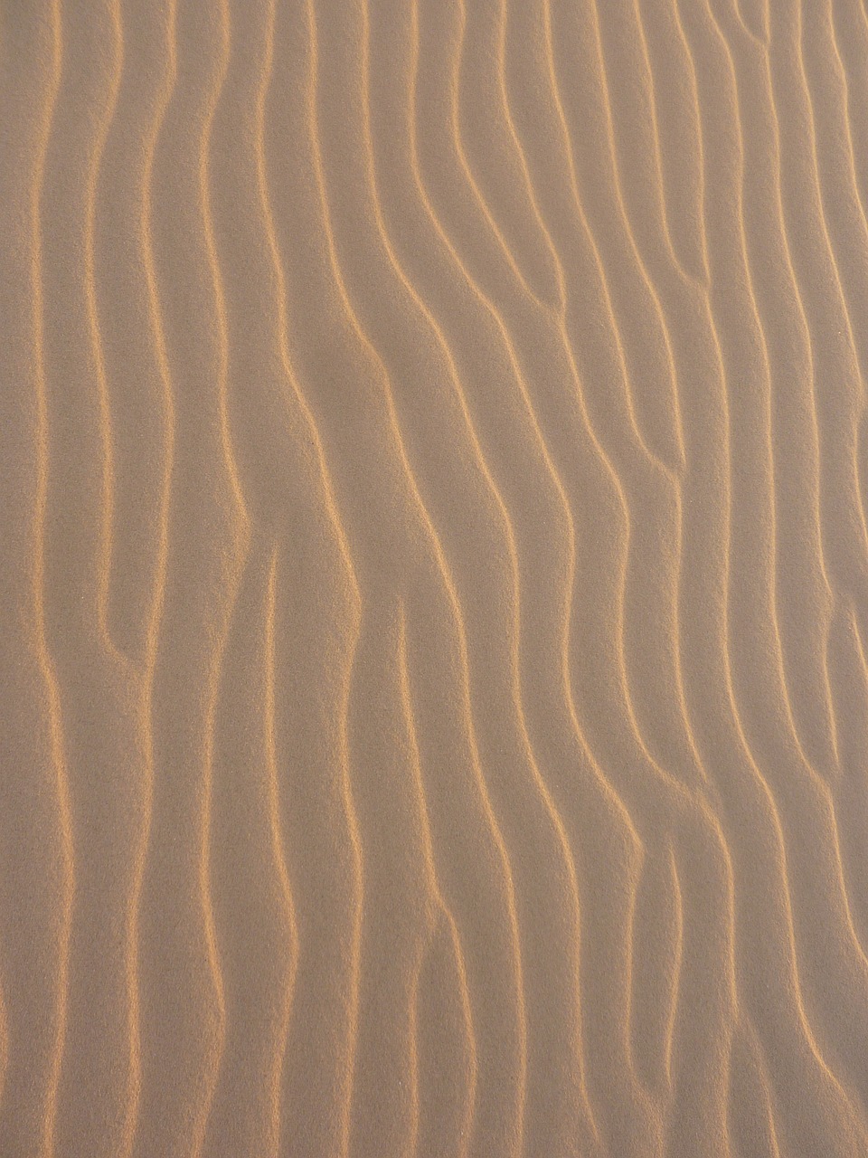 sand pattern beach free photo