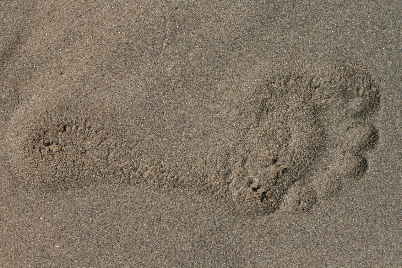 sand beach footprint free photo