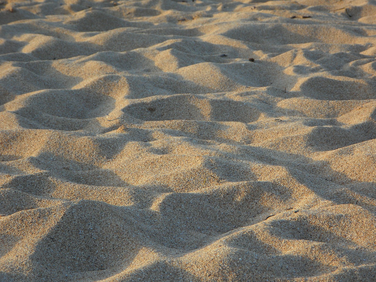 sand beach background free photo