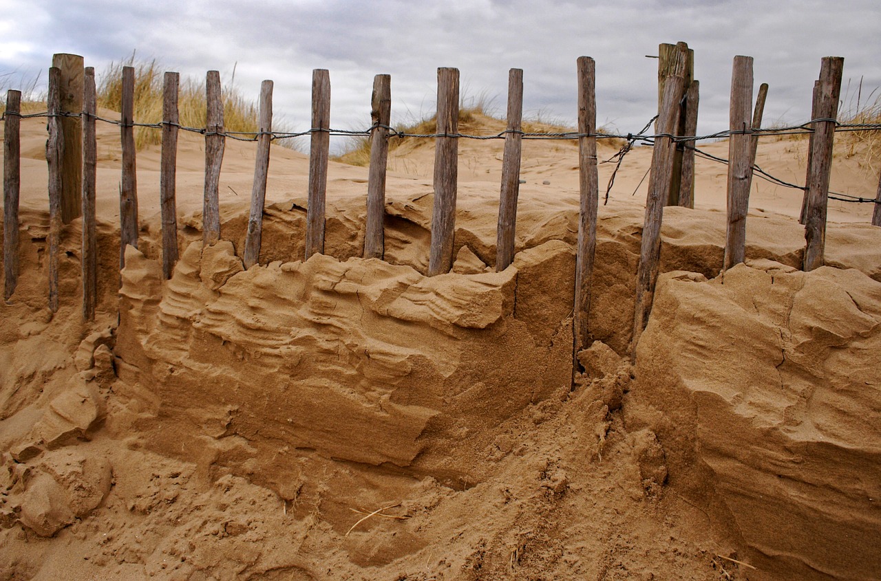 sand sand dune dune free photo