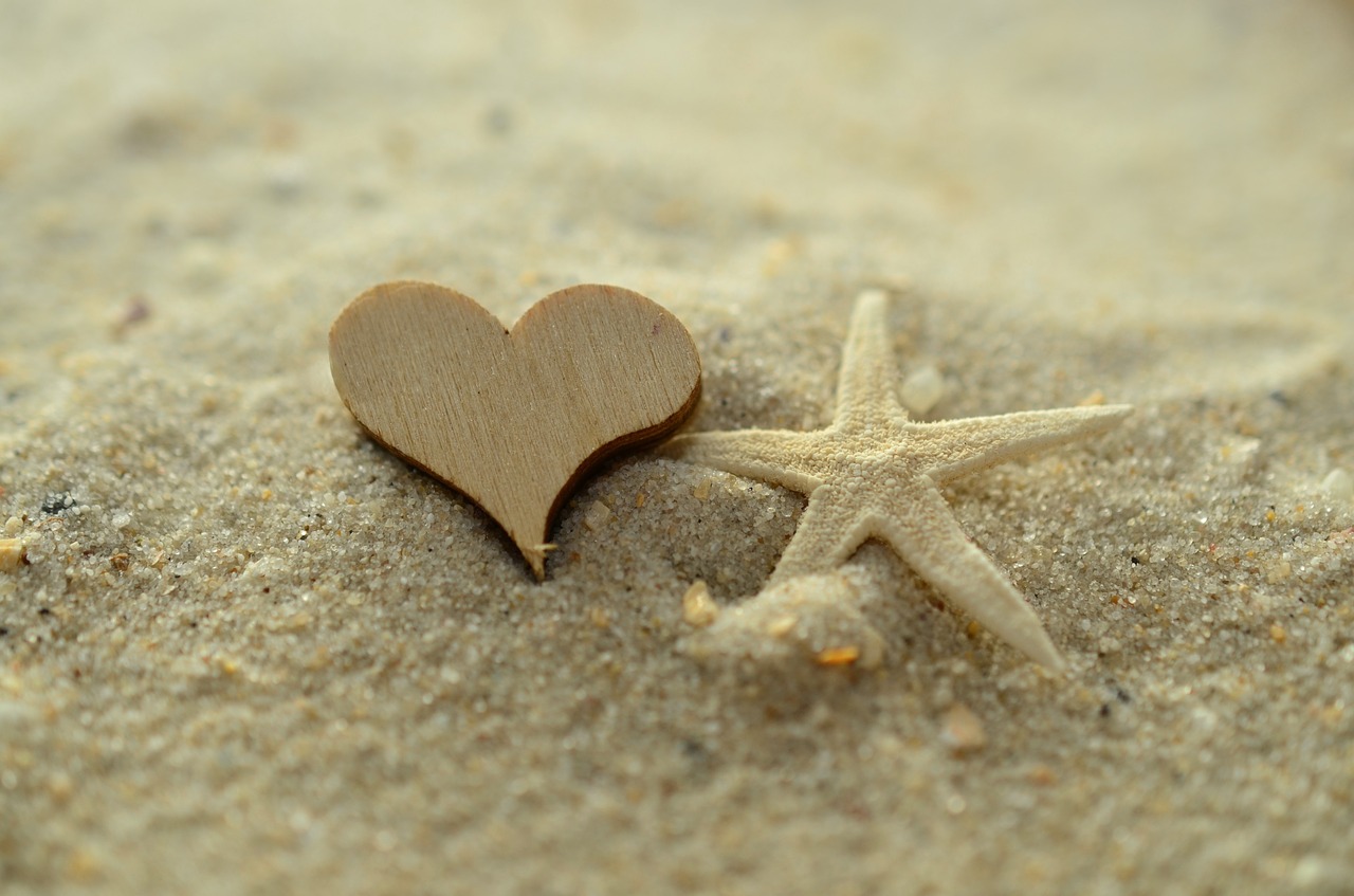 sand heart starfish free photo