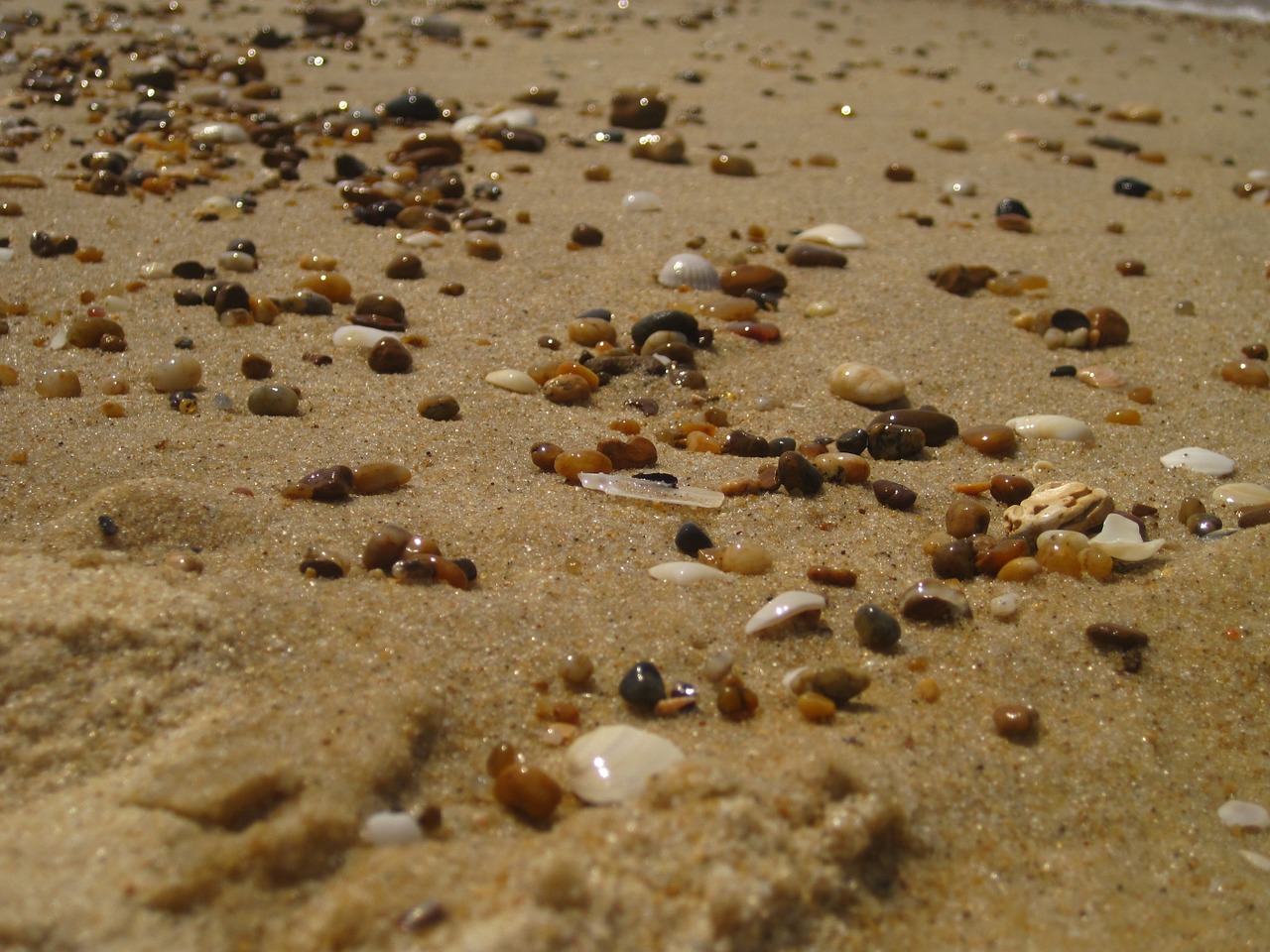 sand beach stones free photo