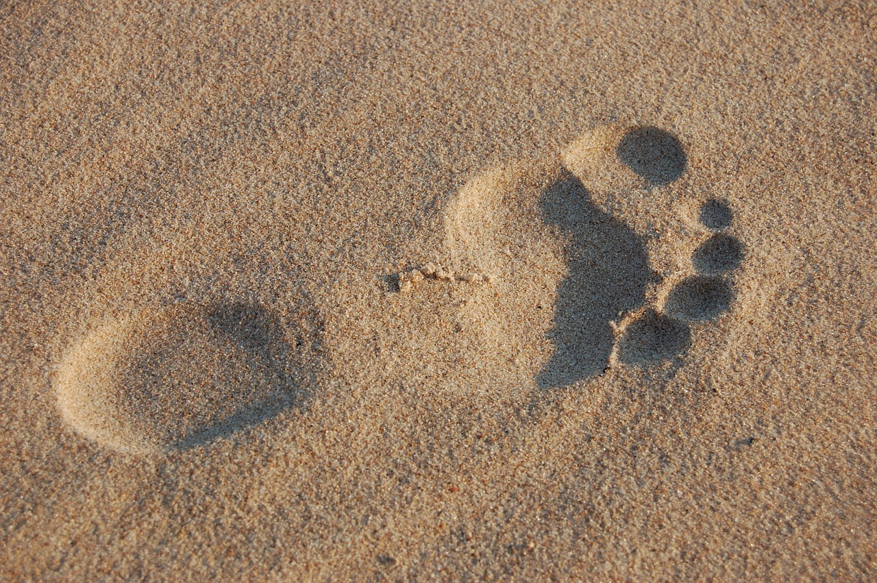 sand footprint summer free photo