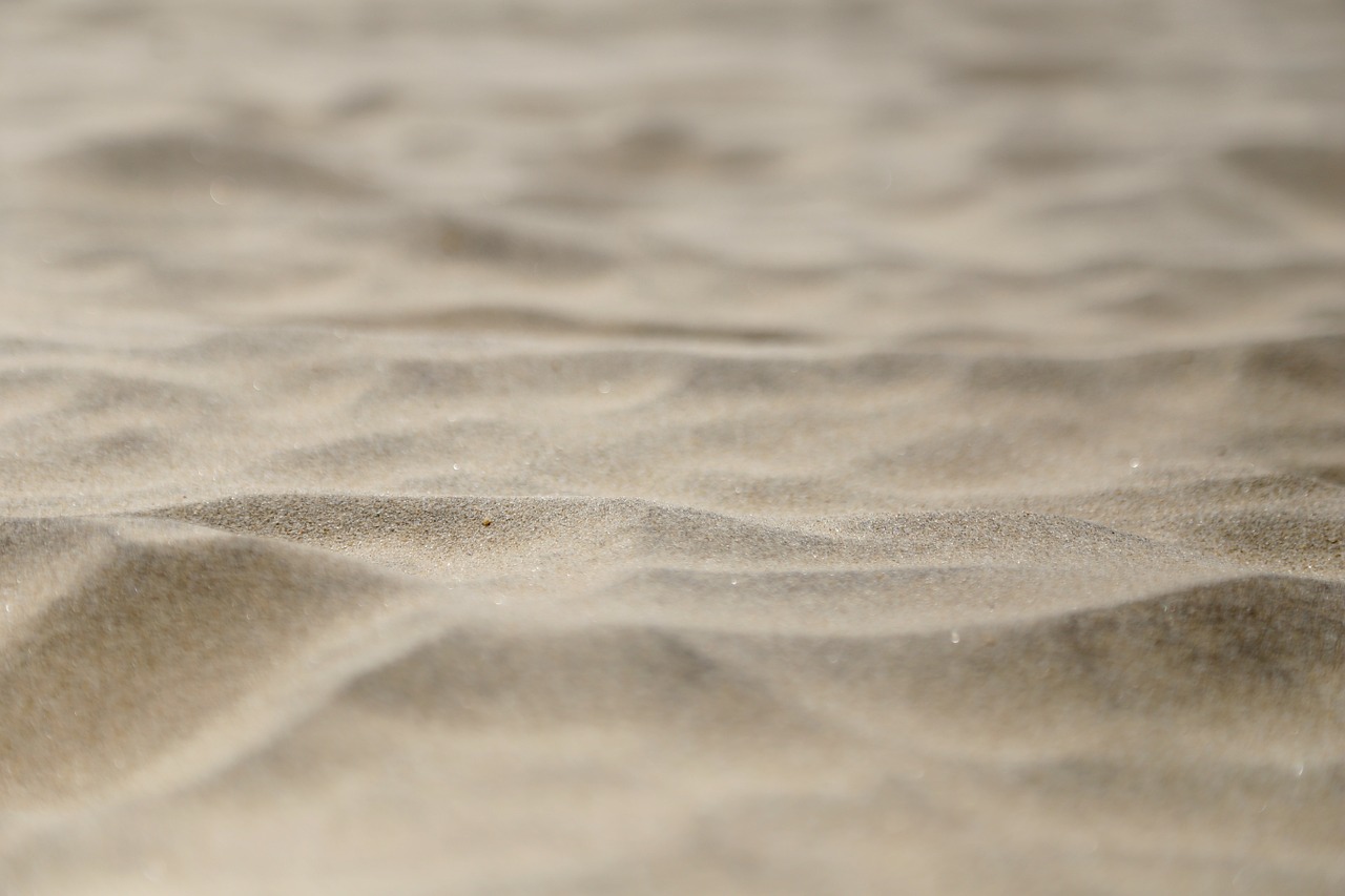 sand beach the micro free photo