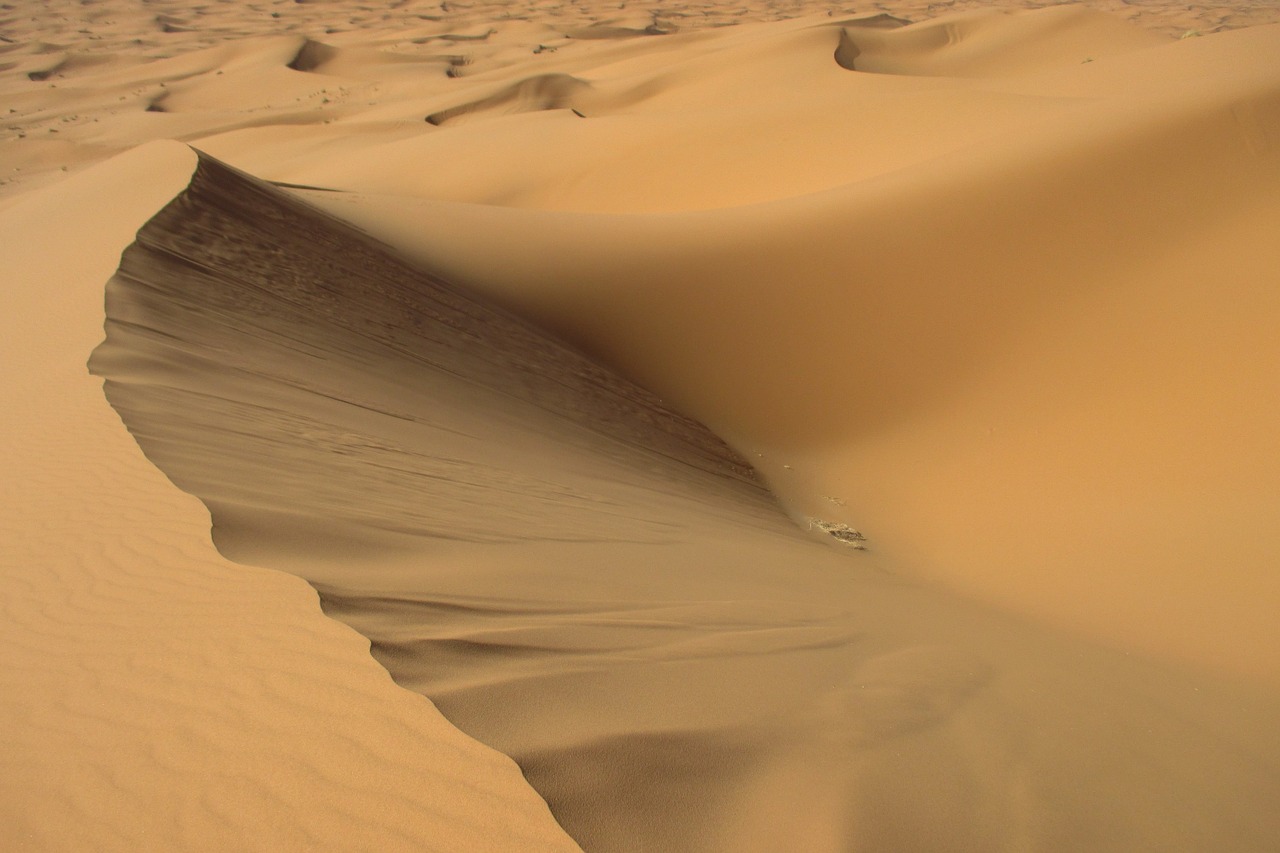 sand sahara desert free photo