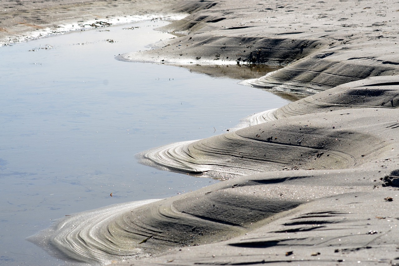 sand beach sea free photo