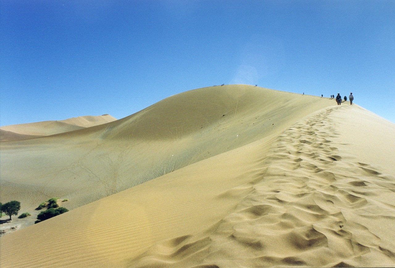 sand dune desert free photo