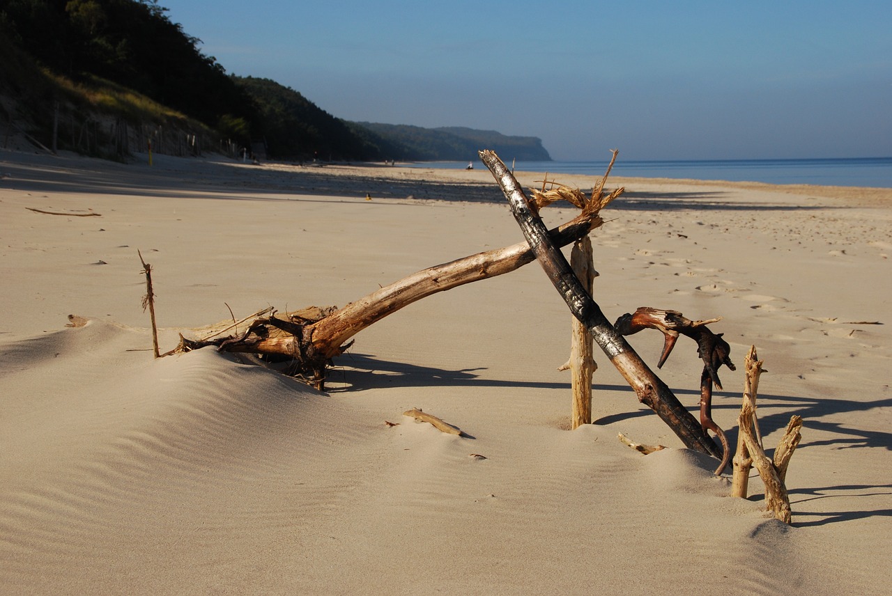 sand beach nature free photo