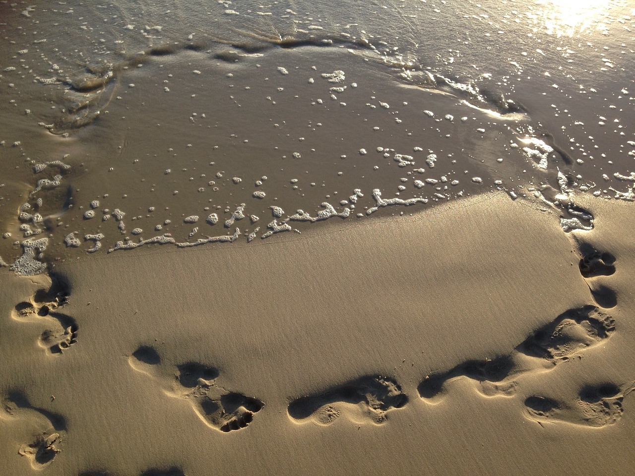 sand footprints water free photo