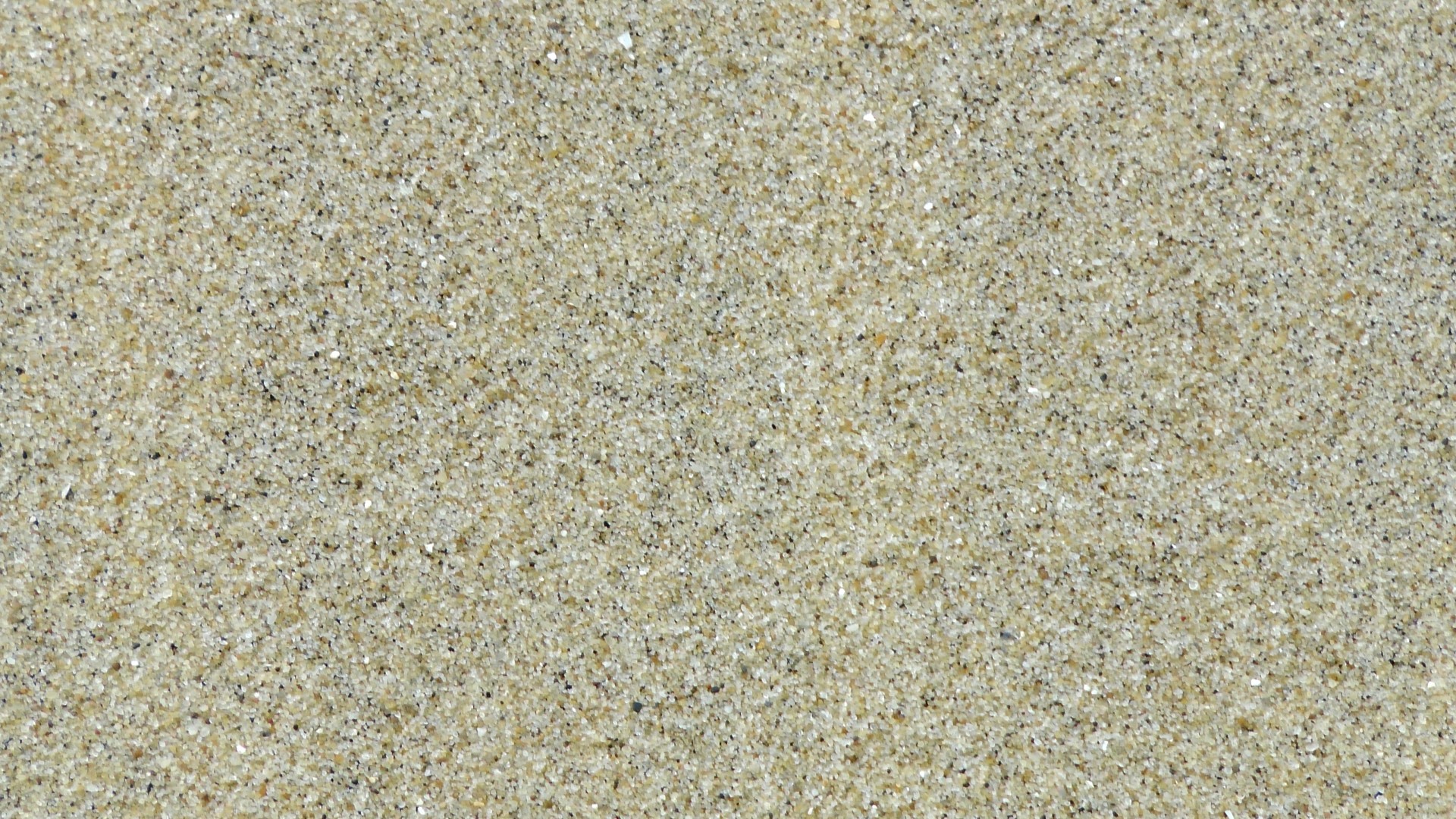 sand sands sandy free photo