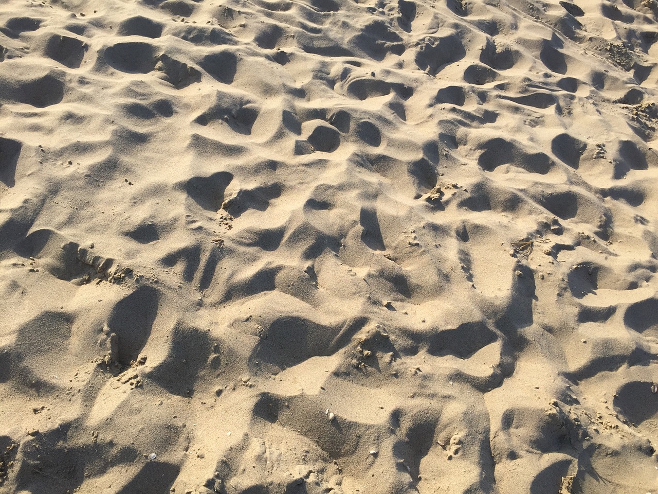 sand beach footsteps free photo