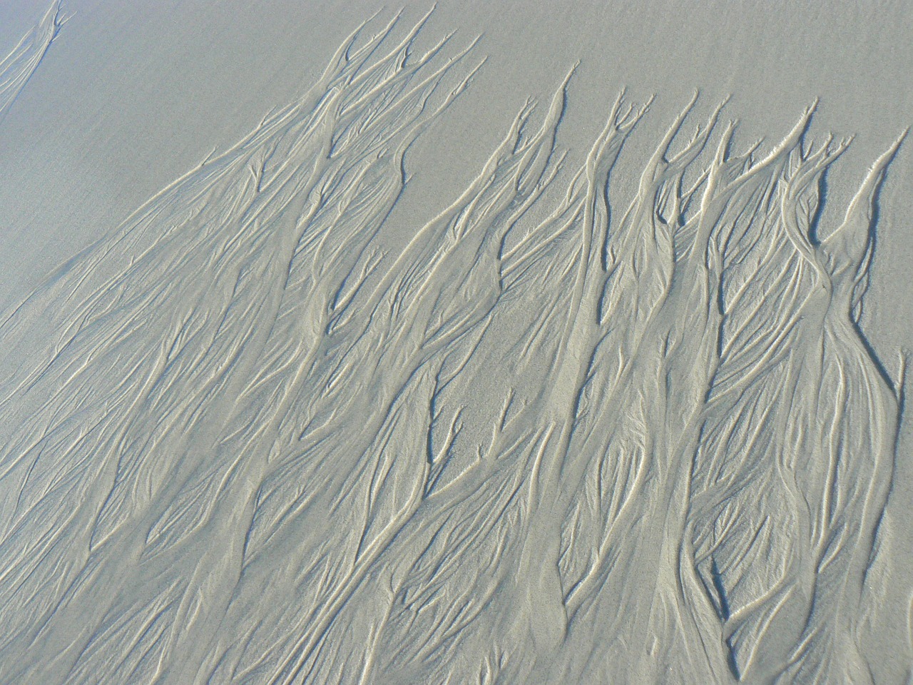 sand waves natural free photo