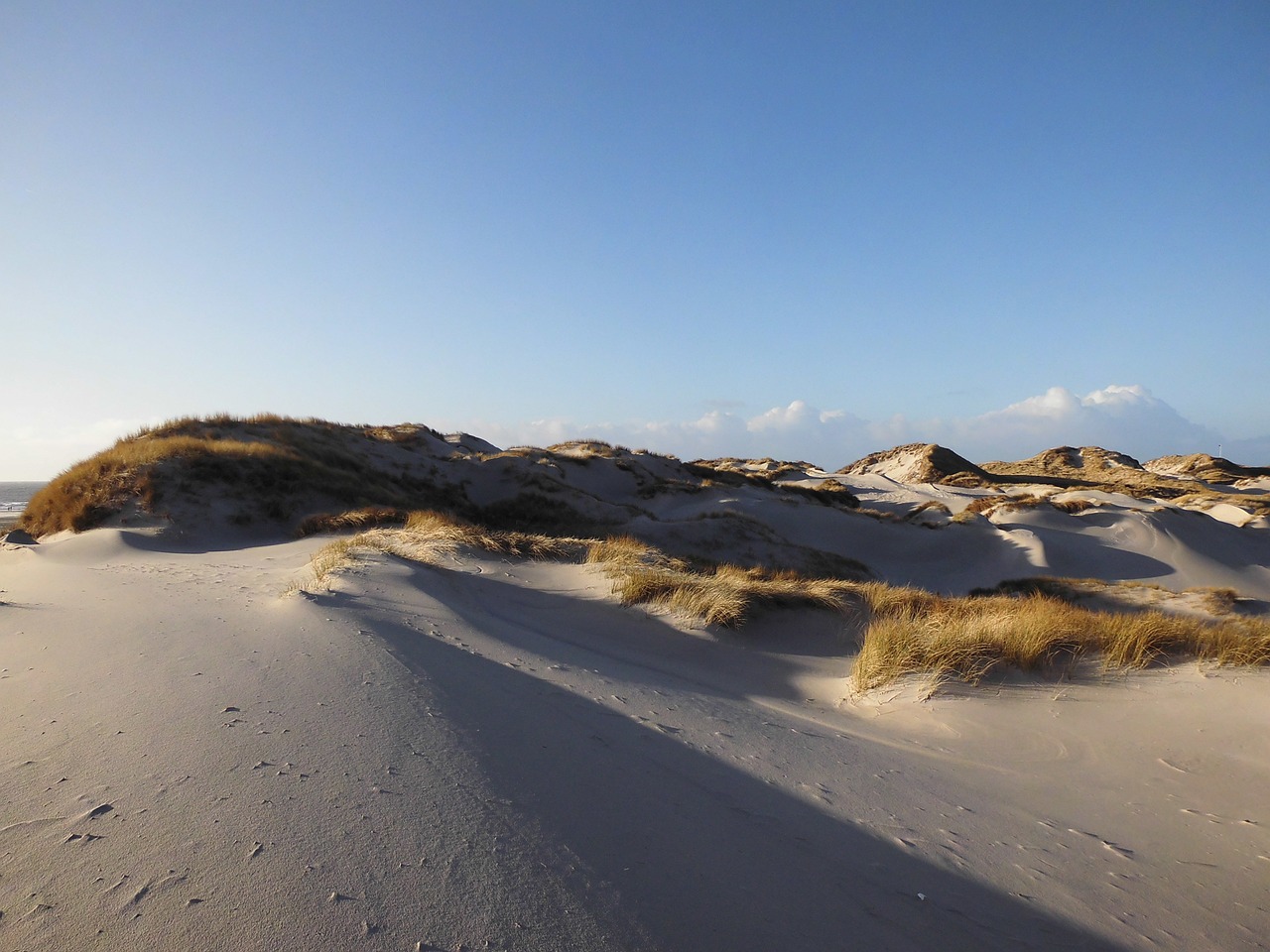 sand dunes amrum free photo