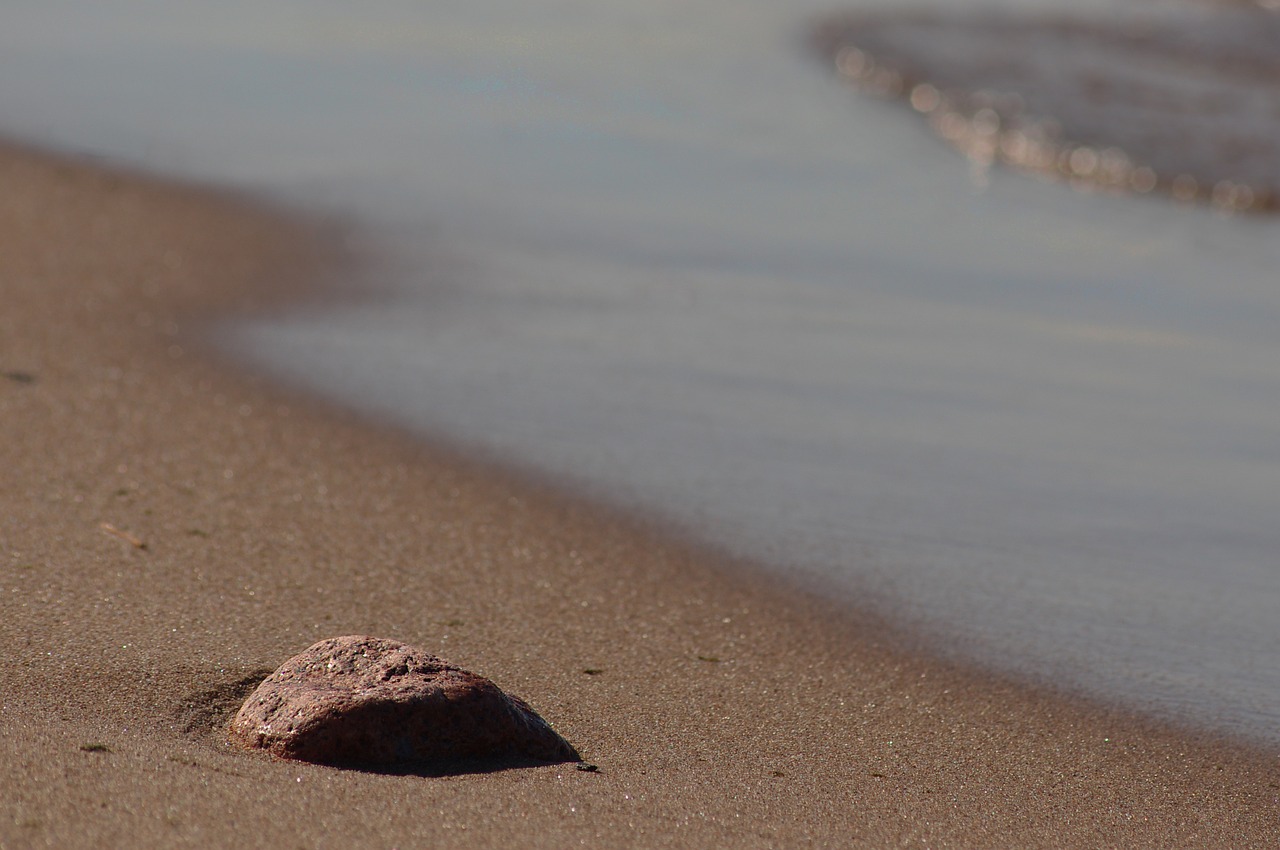 sand water beach free photo