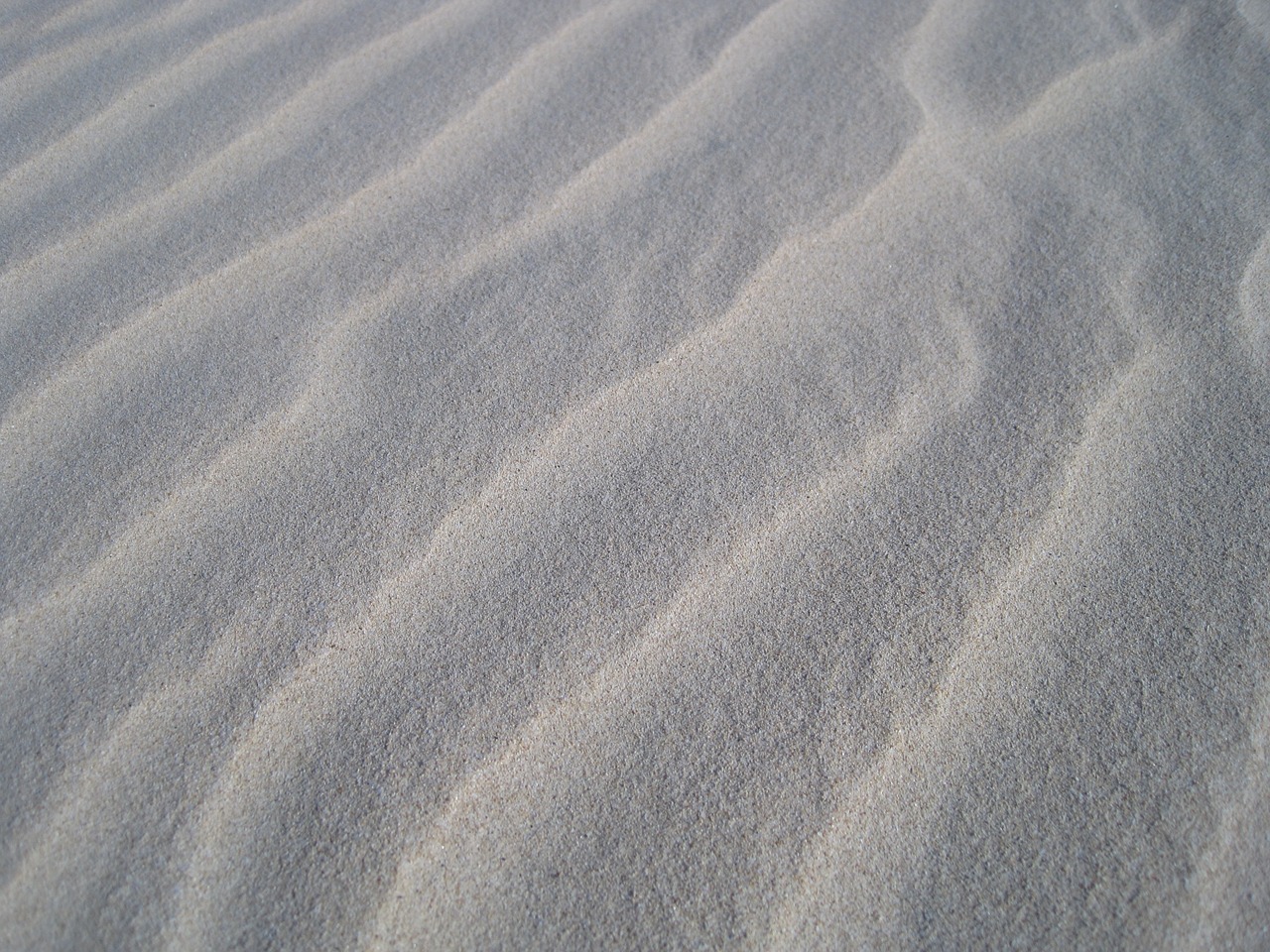 sand sand dune travel free photo