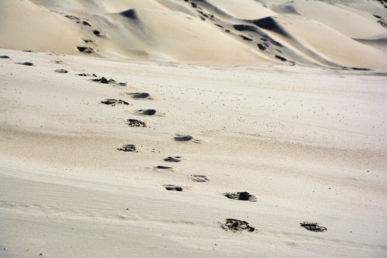 sand the sand dunes footprints in the sand free photo