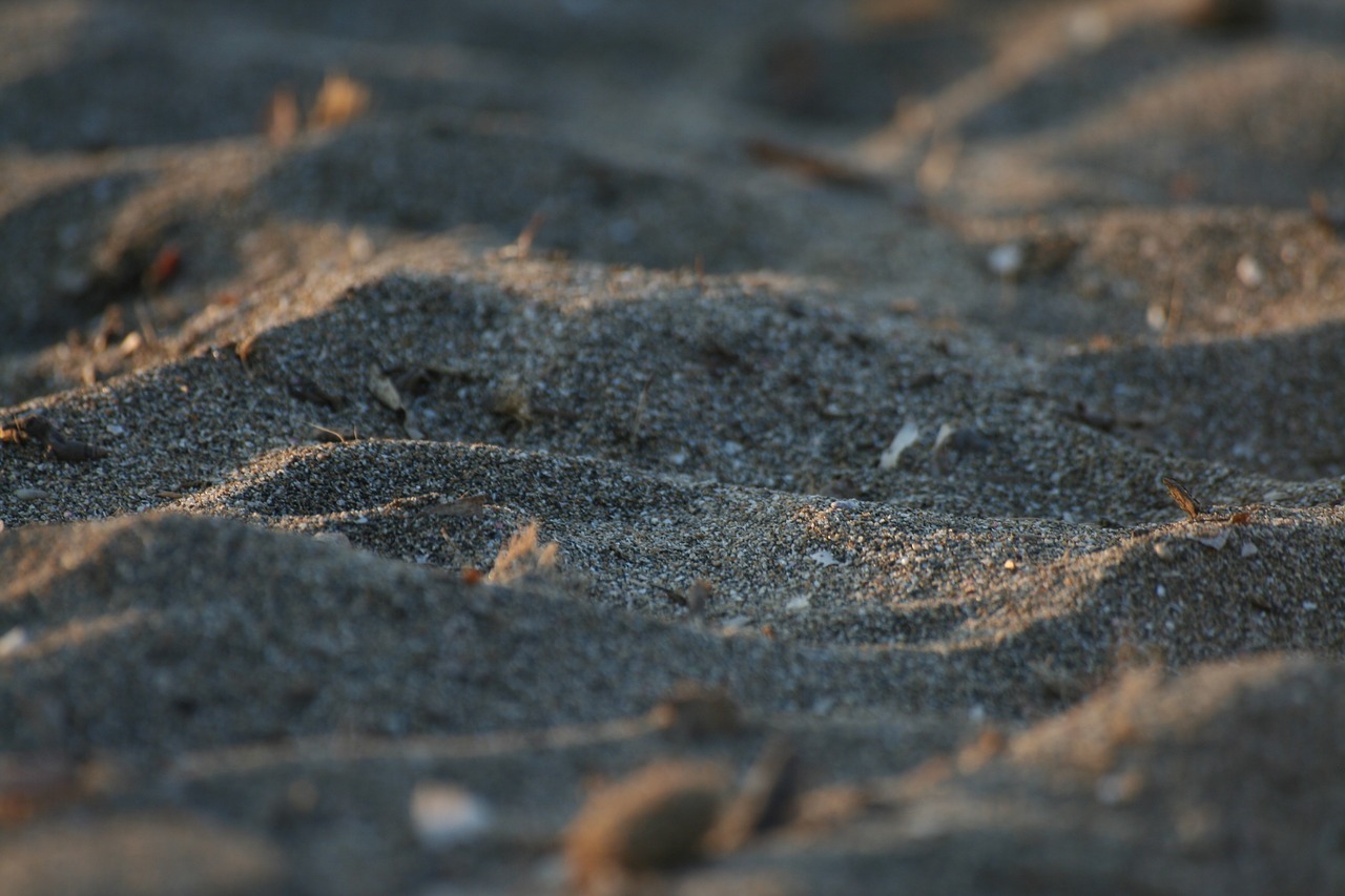 sand macro dune free photo