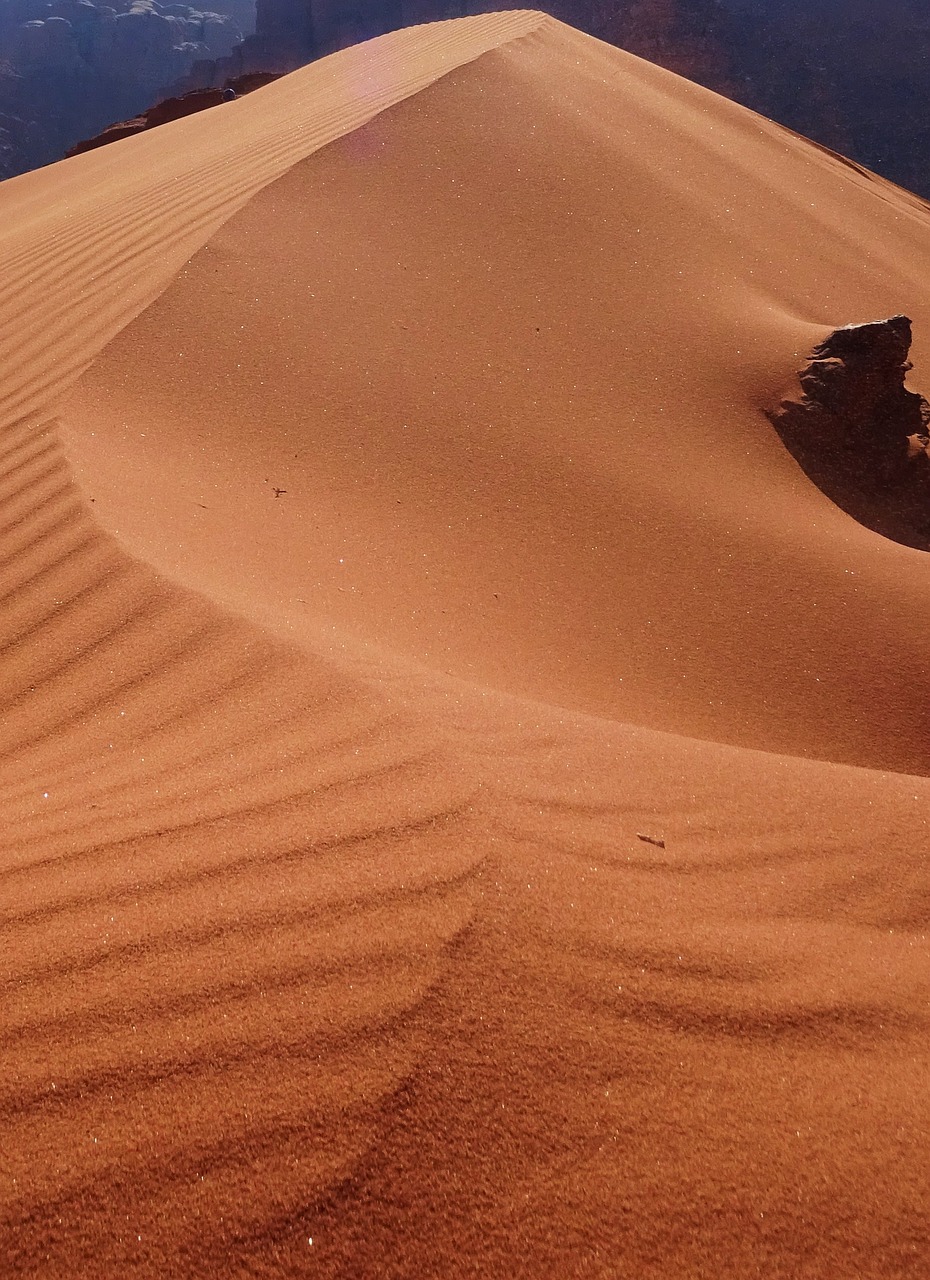 sand desert dune free photo