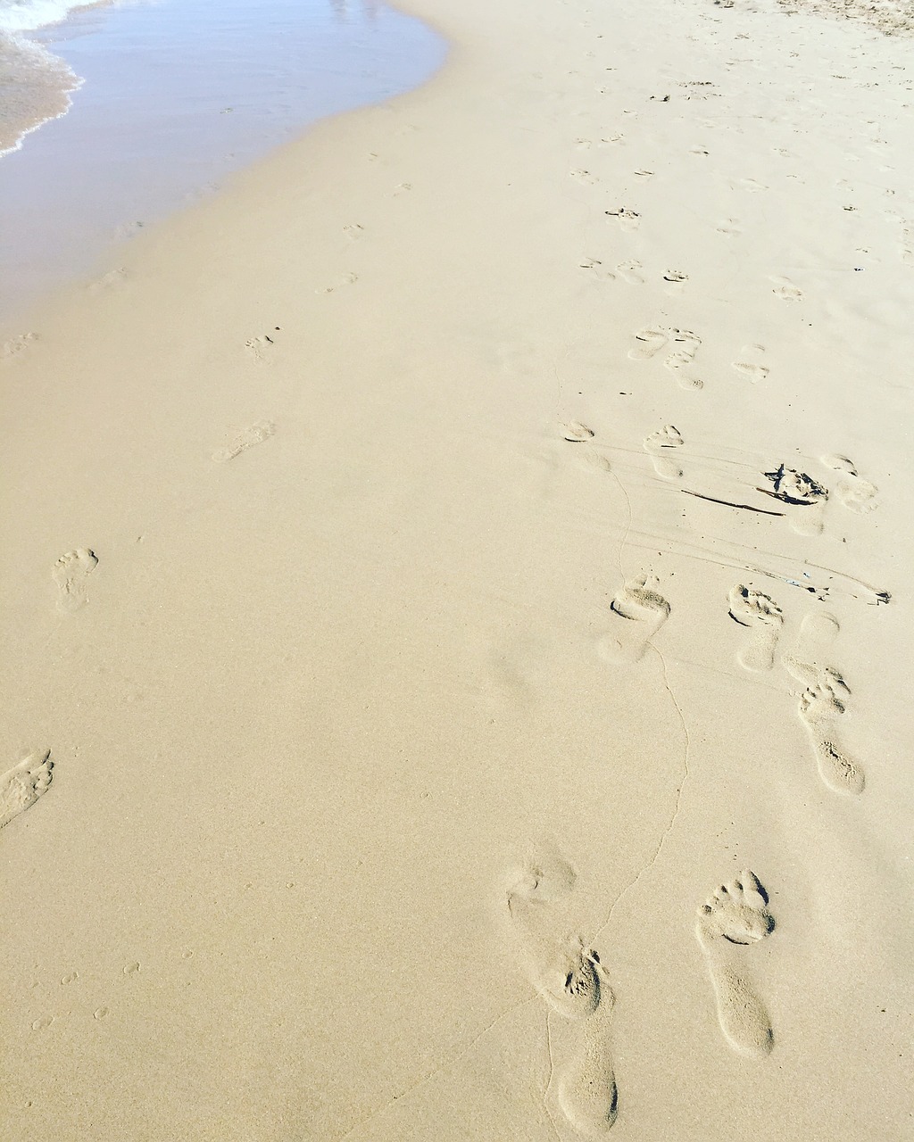 sand sea footprints free photo