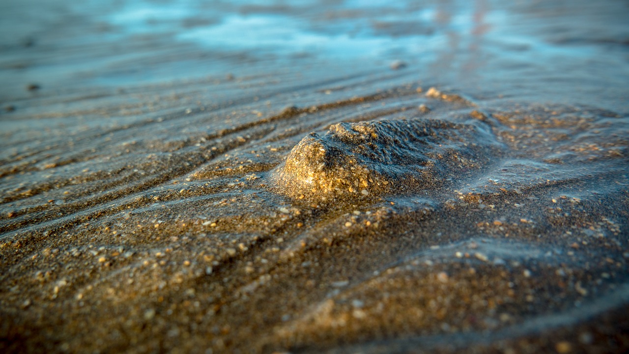 sand sea grains of sand free photo