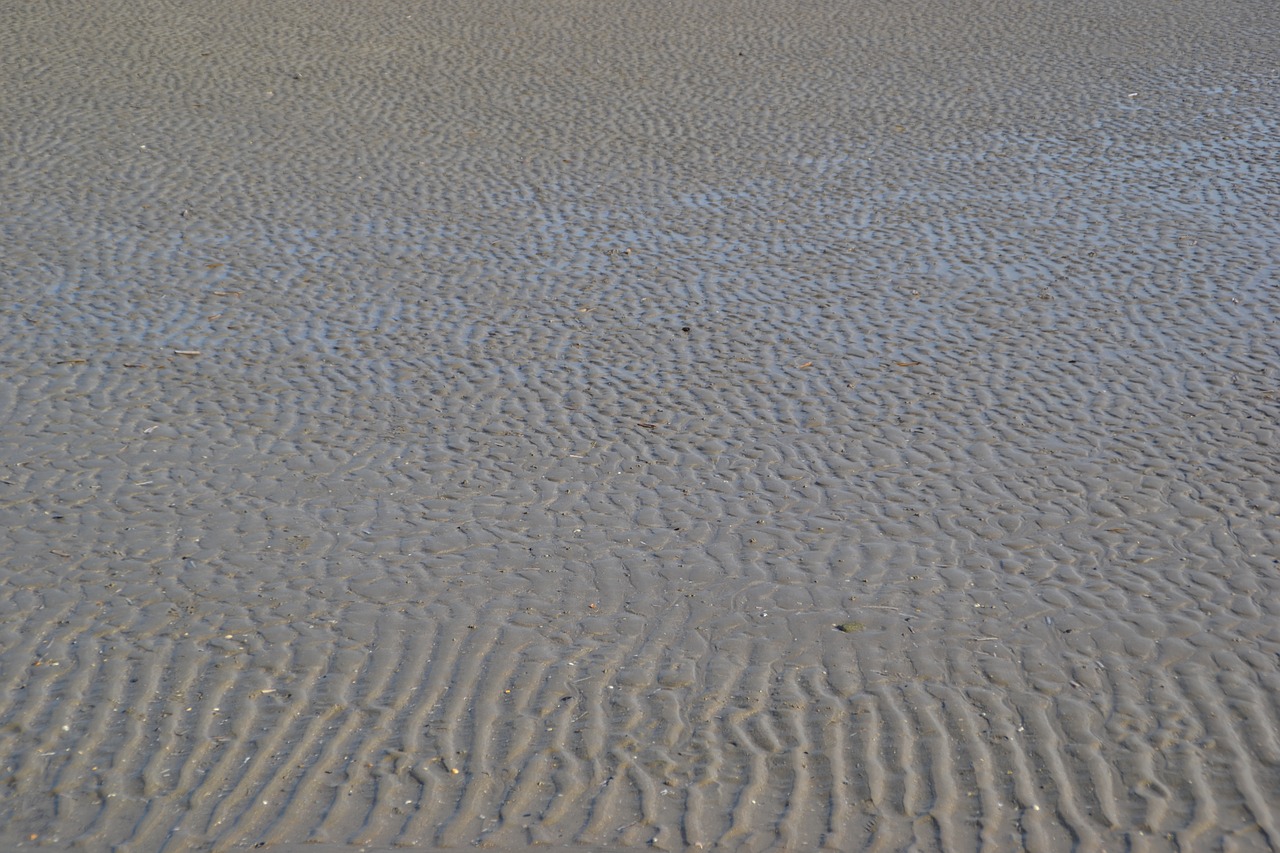 sand ripple sea free photo