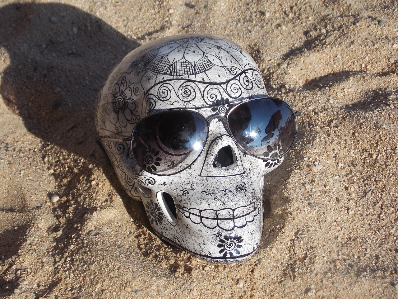 sand skull lenses free photo