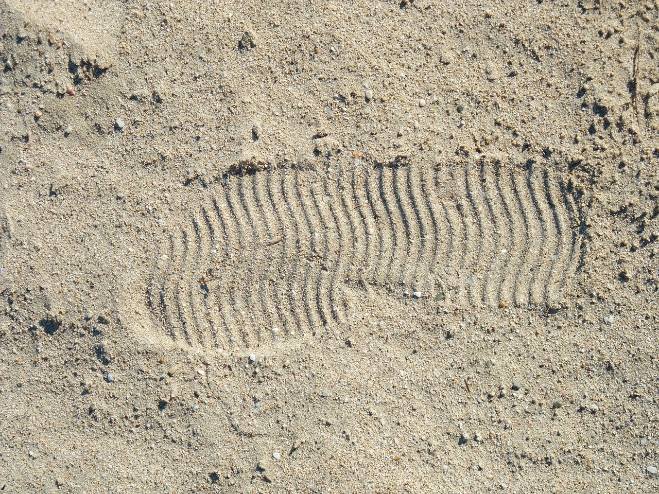 sand beach footprint free photo