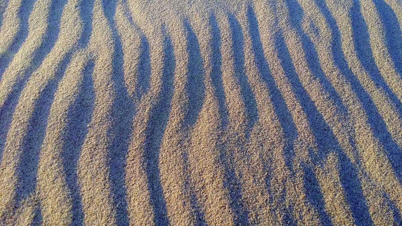 sand beach wind free photo