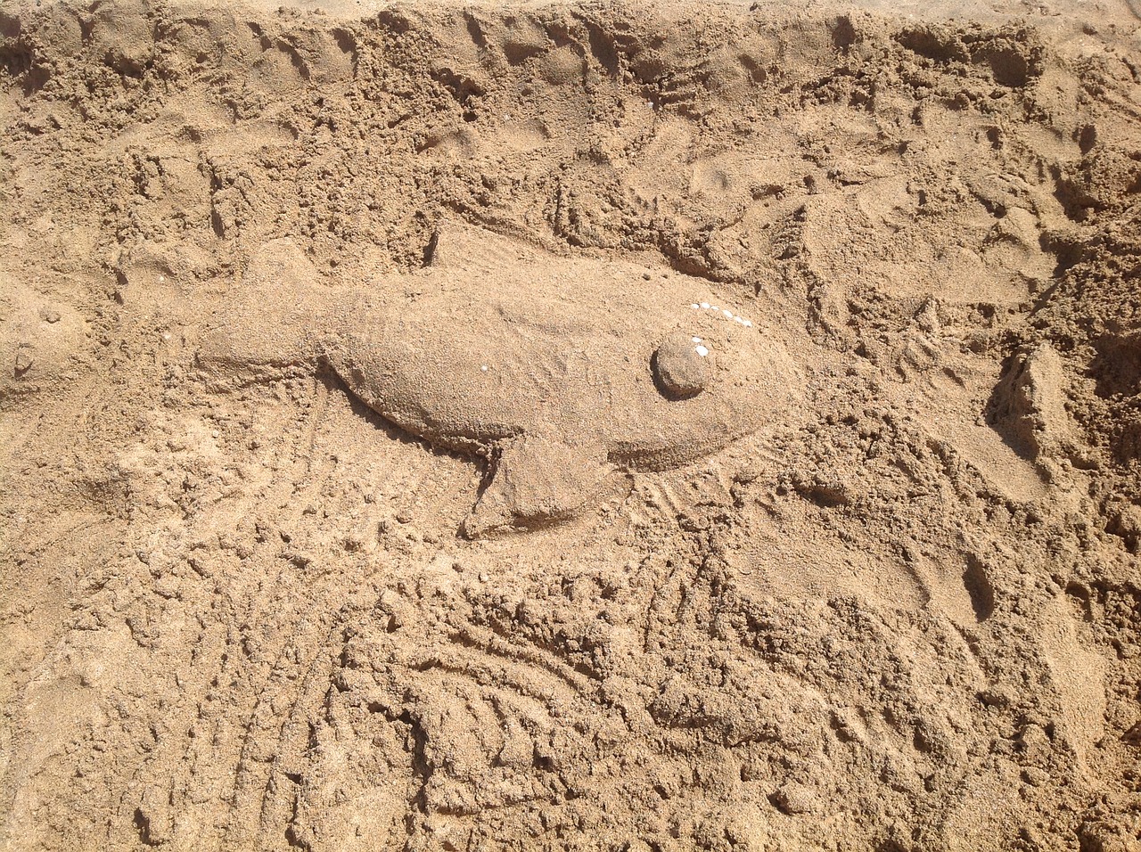 sand fish sculpture free photo