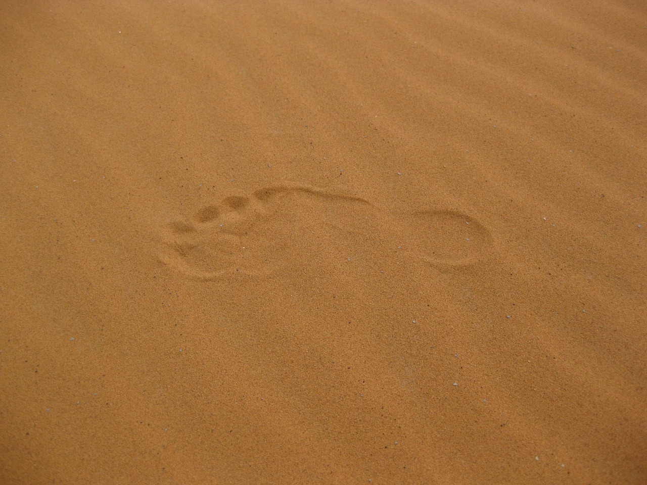 sand desert reprint free photo
