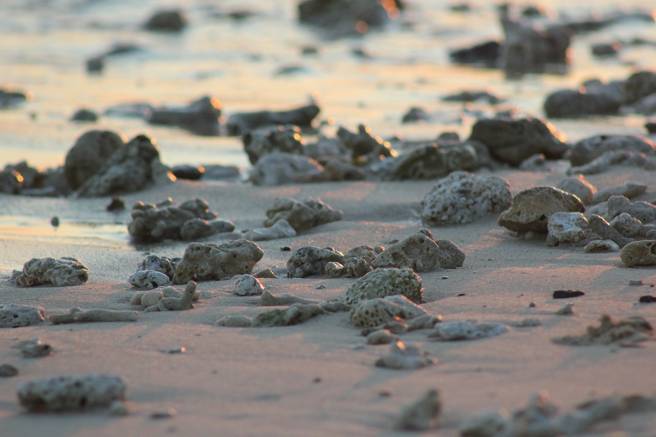 sand rocks pebbles free photo