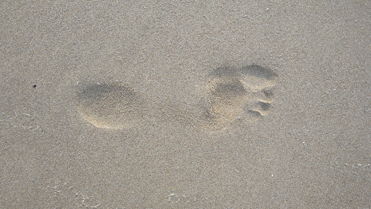 sand footprint foot free photo