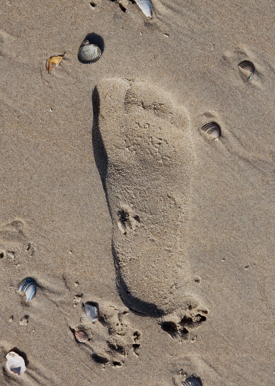 sand beach footprint free photo