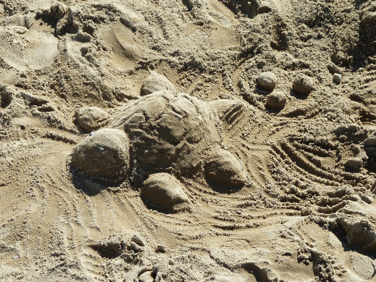 sand turtle sculpture free photo