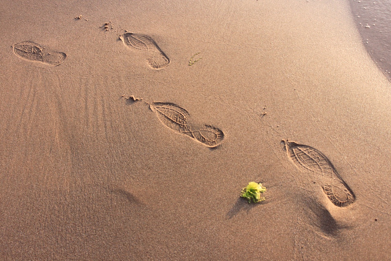 sand beach footprint free photo