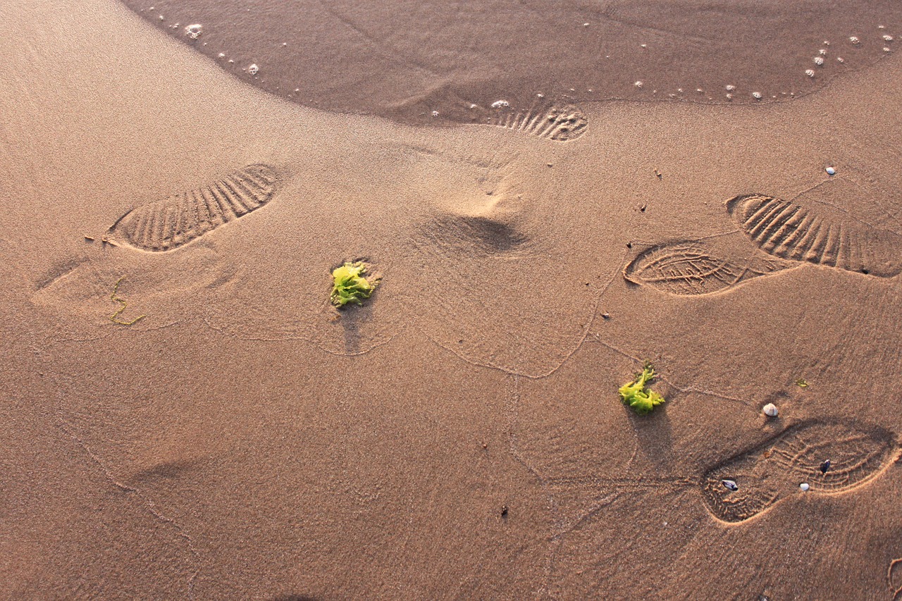 sand beach nature free photo