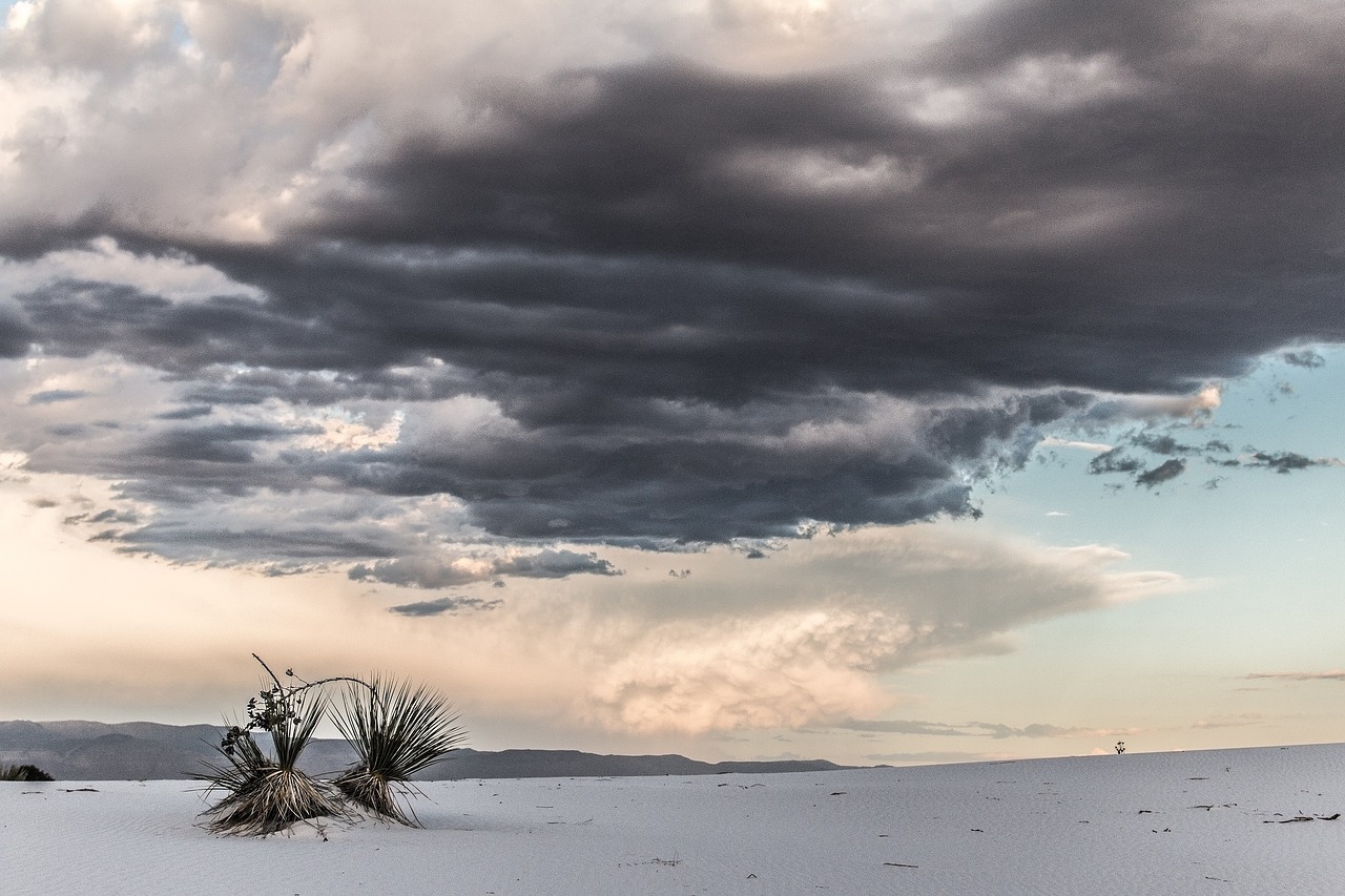 sand white scenic free photo