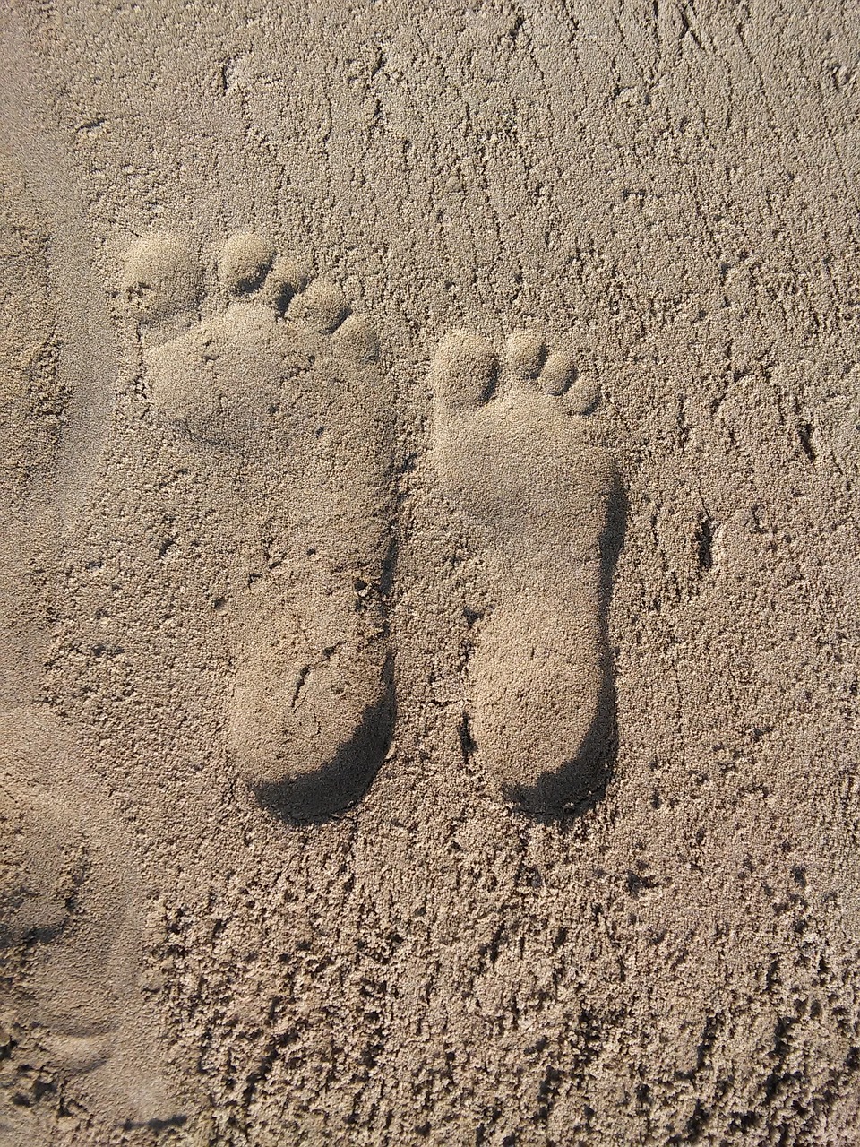 sand beach footprint free photo