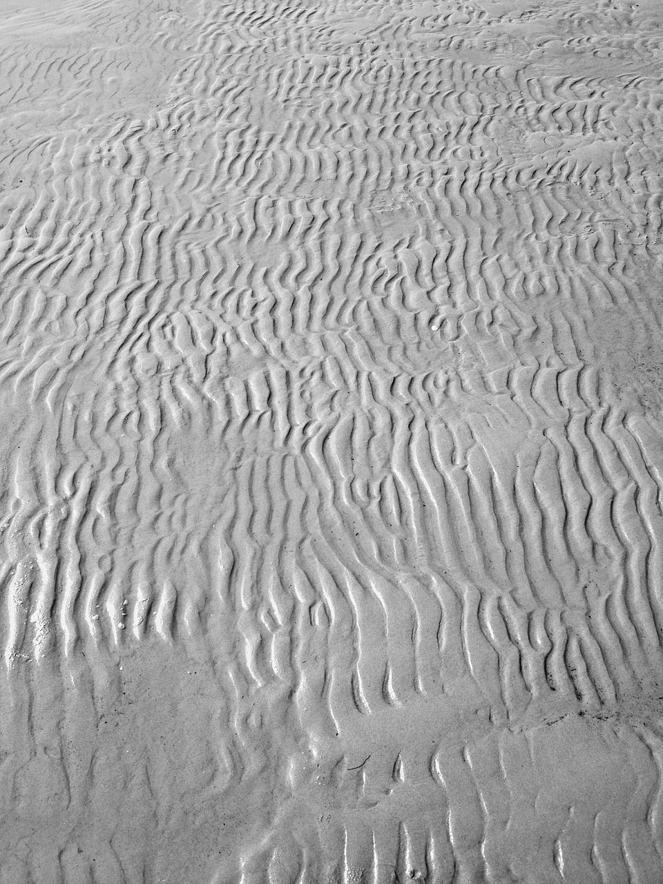 sand beach pattern free photo