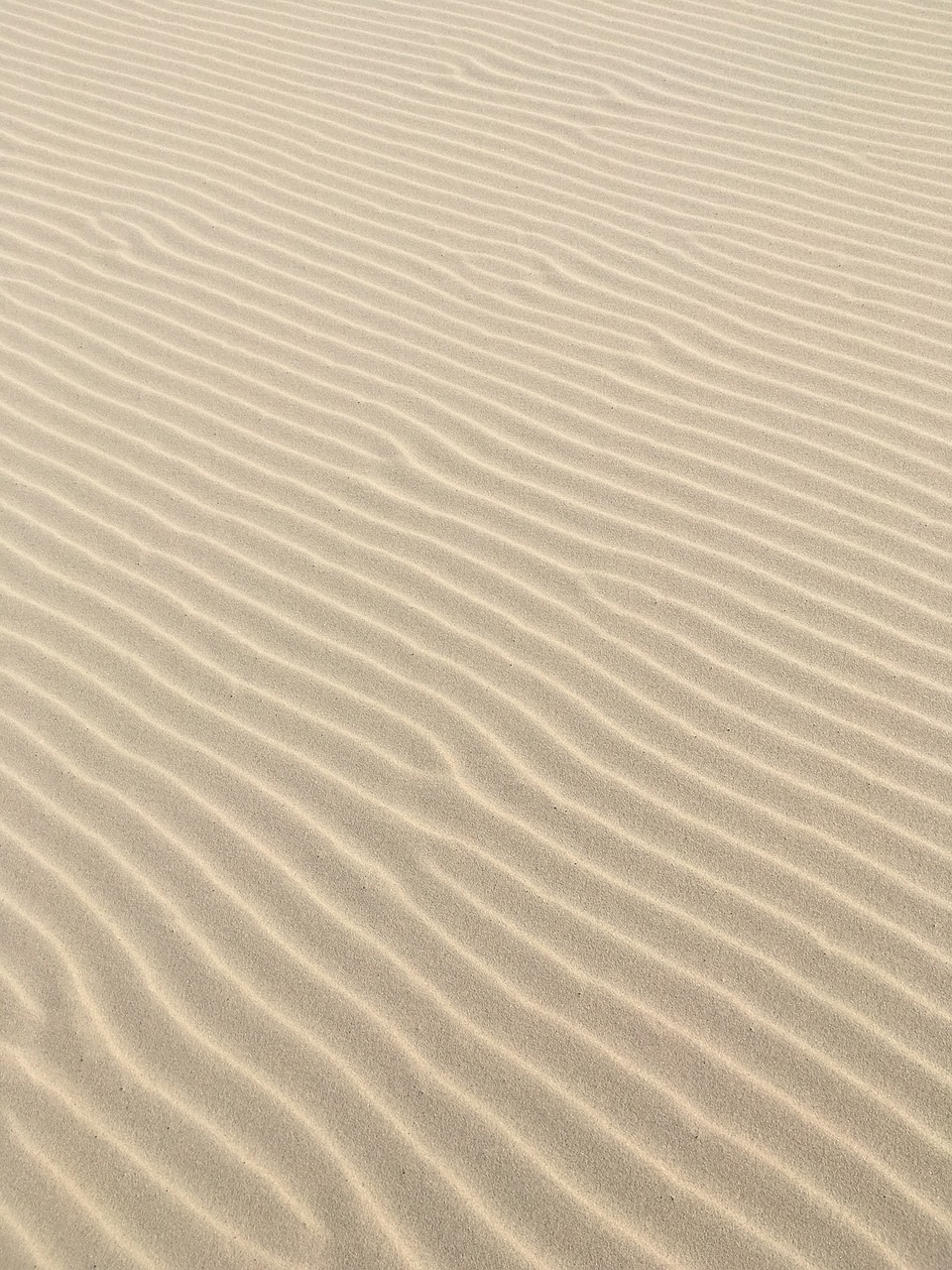 sand sand lines beach free photo