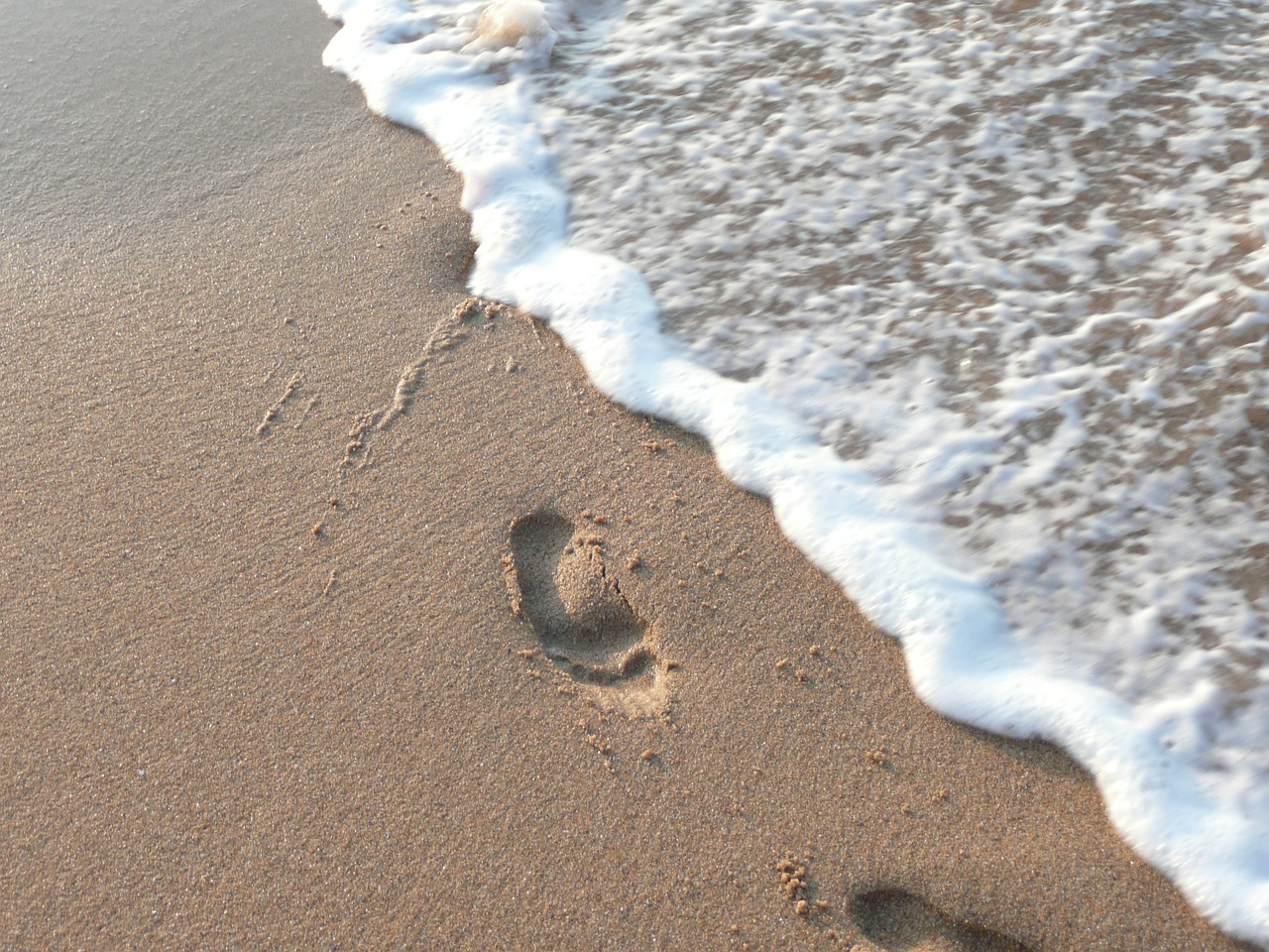 sand water beach free photo