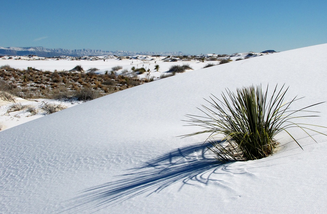 sand white scenic free photo